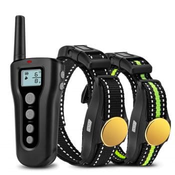 Basic Remote Rechargeable Electric Shock Collar- Adjustable nylon collar
