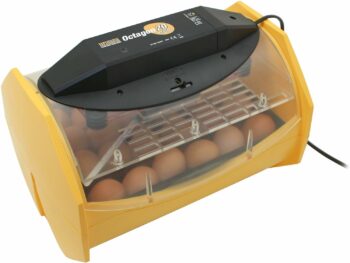 Brinsea Products Egg Incubator