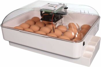 IncuView Egg Incubator