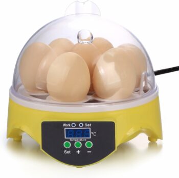 Noeler Egg Incubator