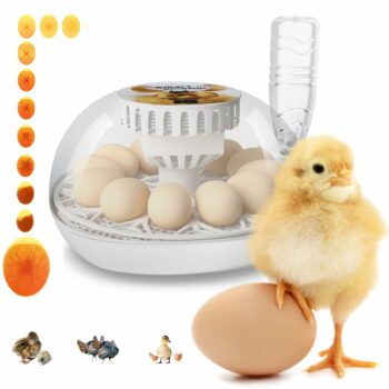 Lreerge Egg Incubator