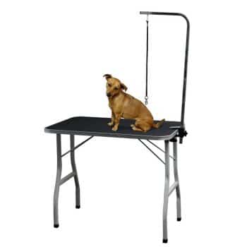 Paws and Pals Grooming Table for Dogs