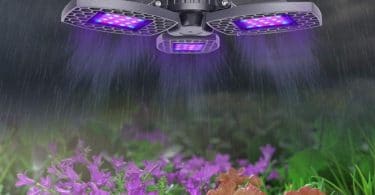 LED Plant Lights