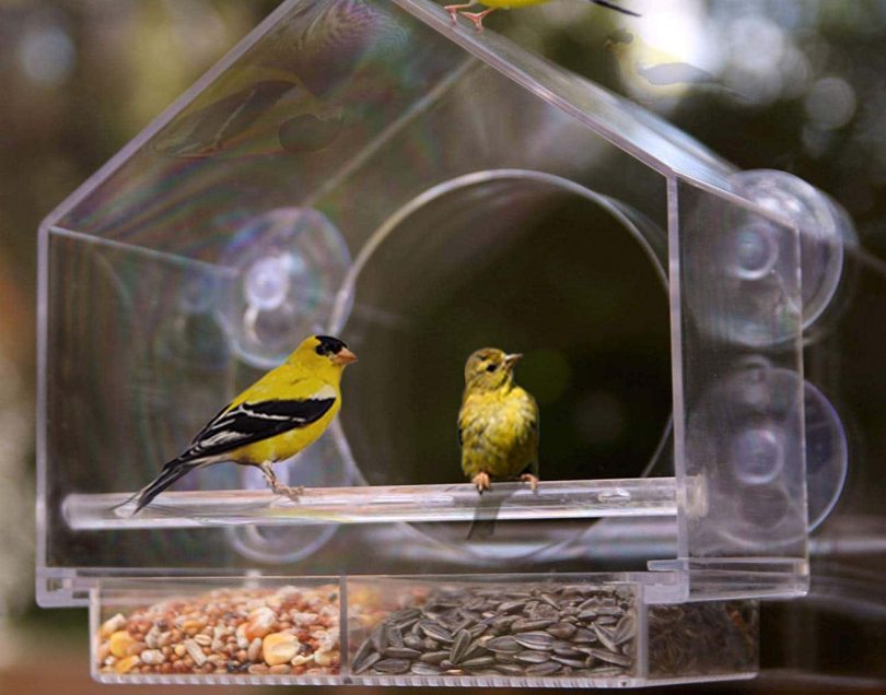 bird feeders